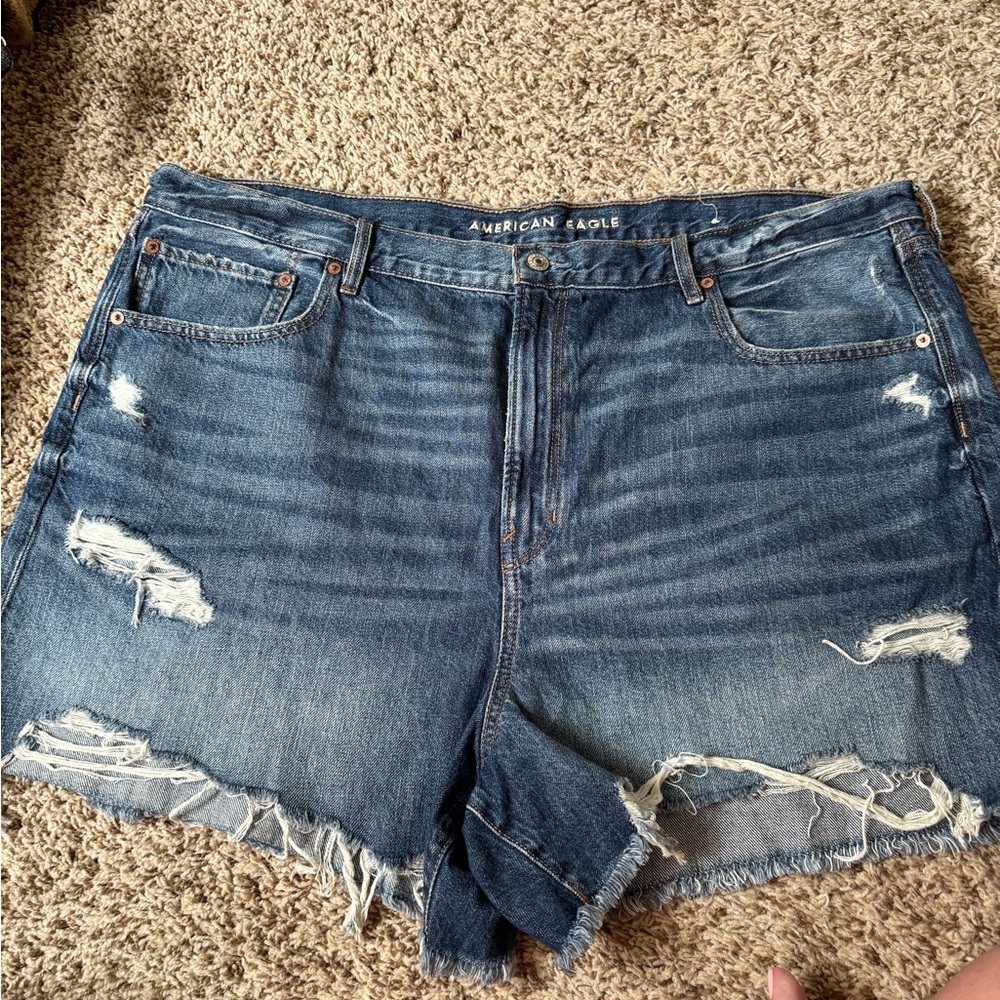 American Eagle Outfitters Women's Ripped Blue Jean Shorts Plus Size